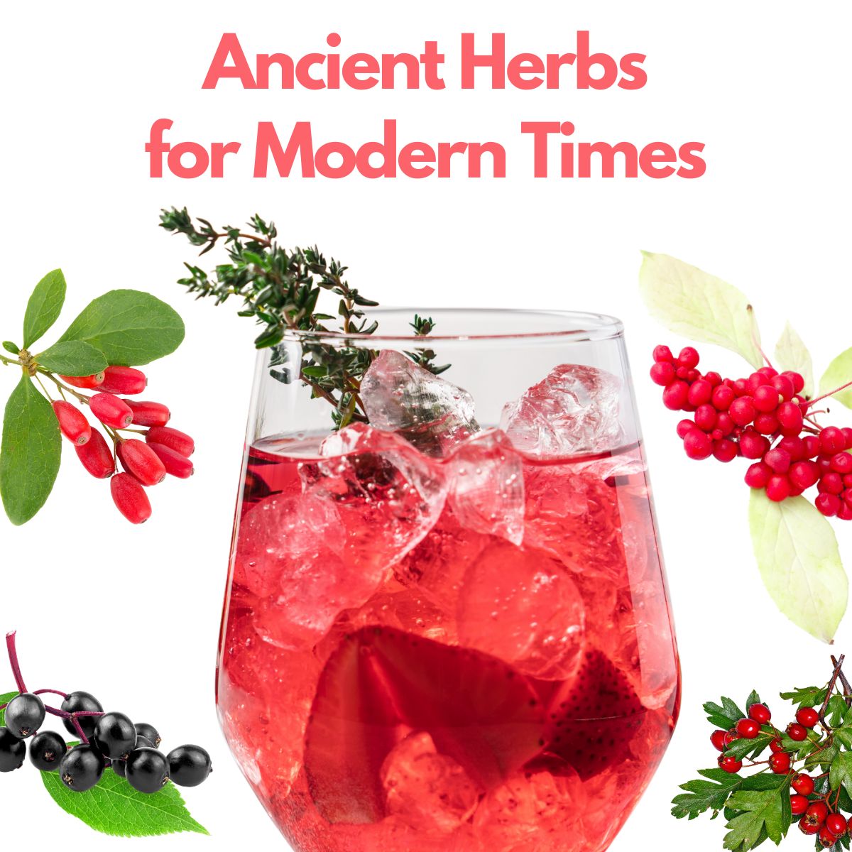 Jing Soda® Super Berry