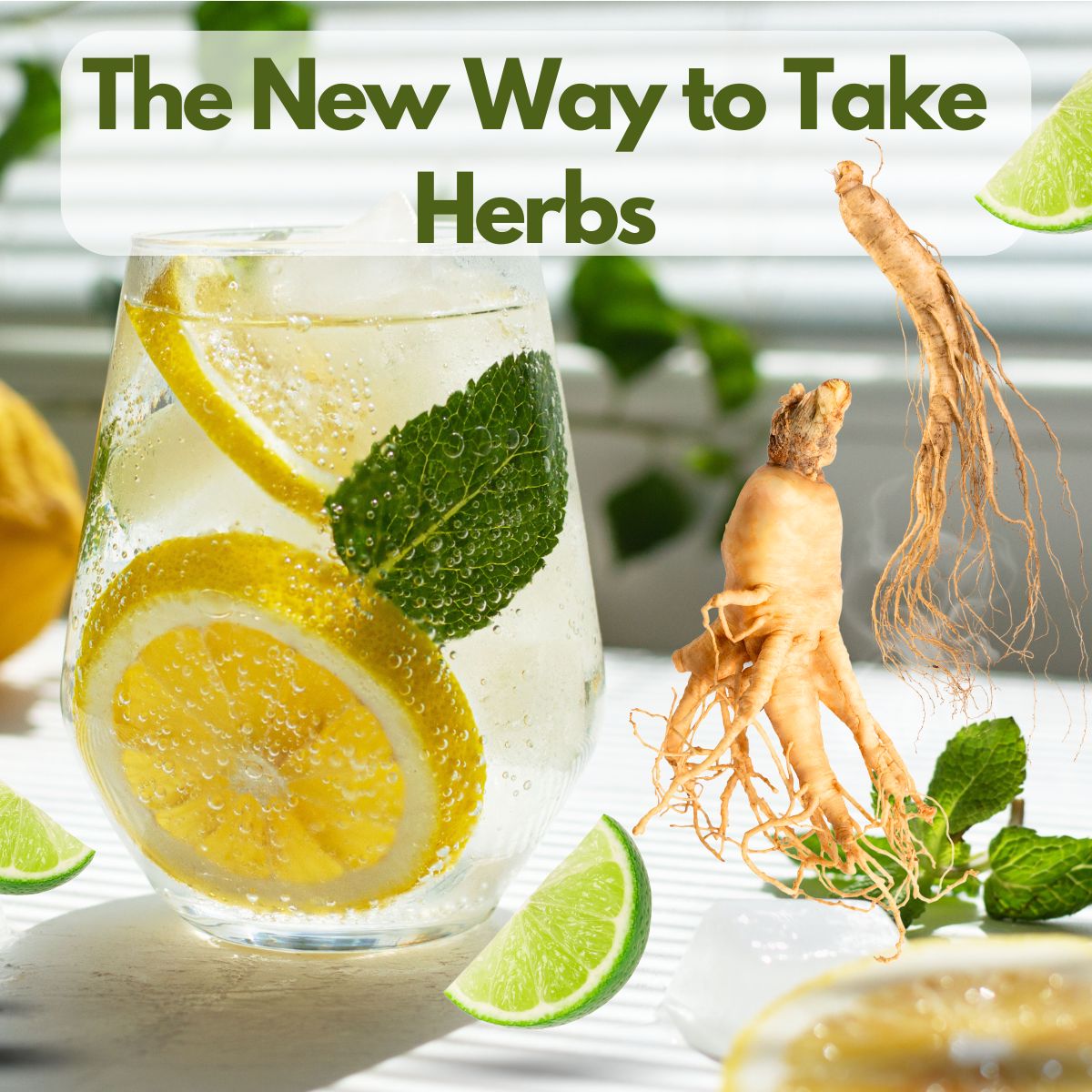 Jing Soda, Ginseng Lemon Lime, 32oz