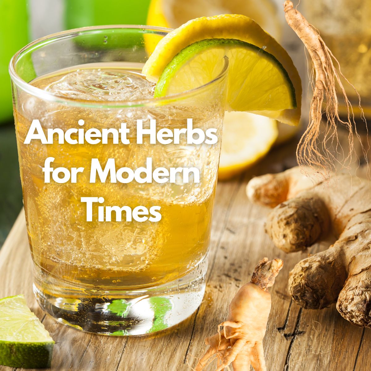 Jing Soda, Ginger Ginseng, 50mL (3 Pack)