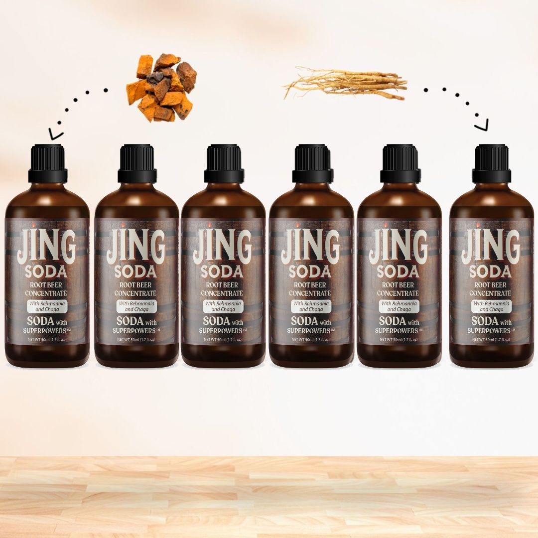 Jing Soda® Root Beer, 50mL (6 Pack)