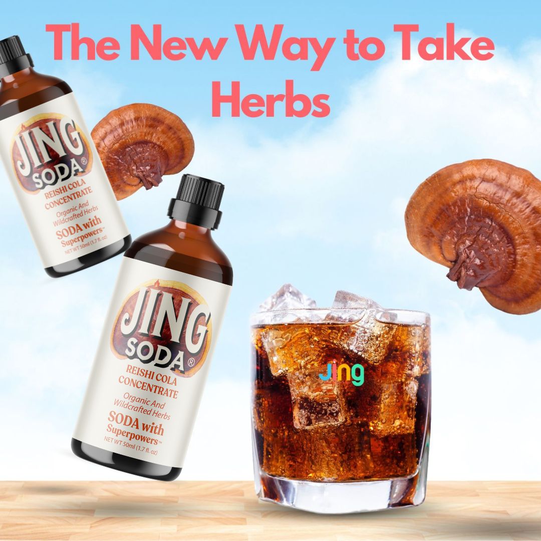 Jing Soda® Reishi Cola, 50mL (3 Pack)