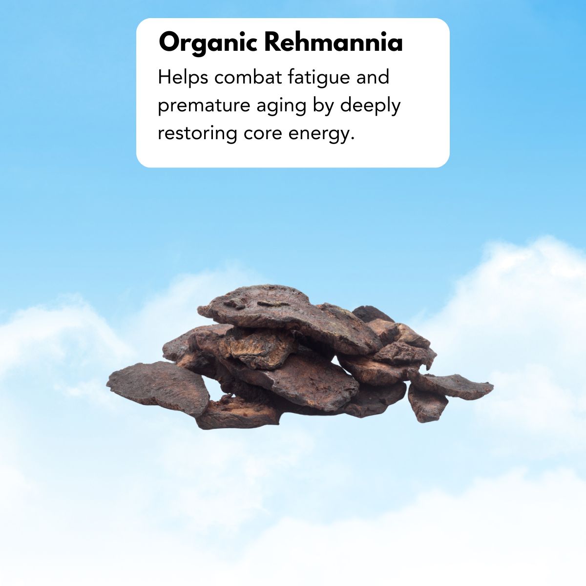 organic_rehmannia