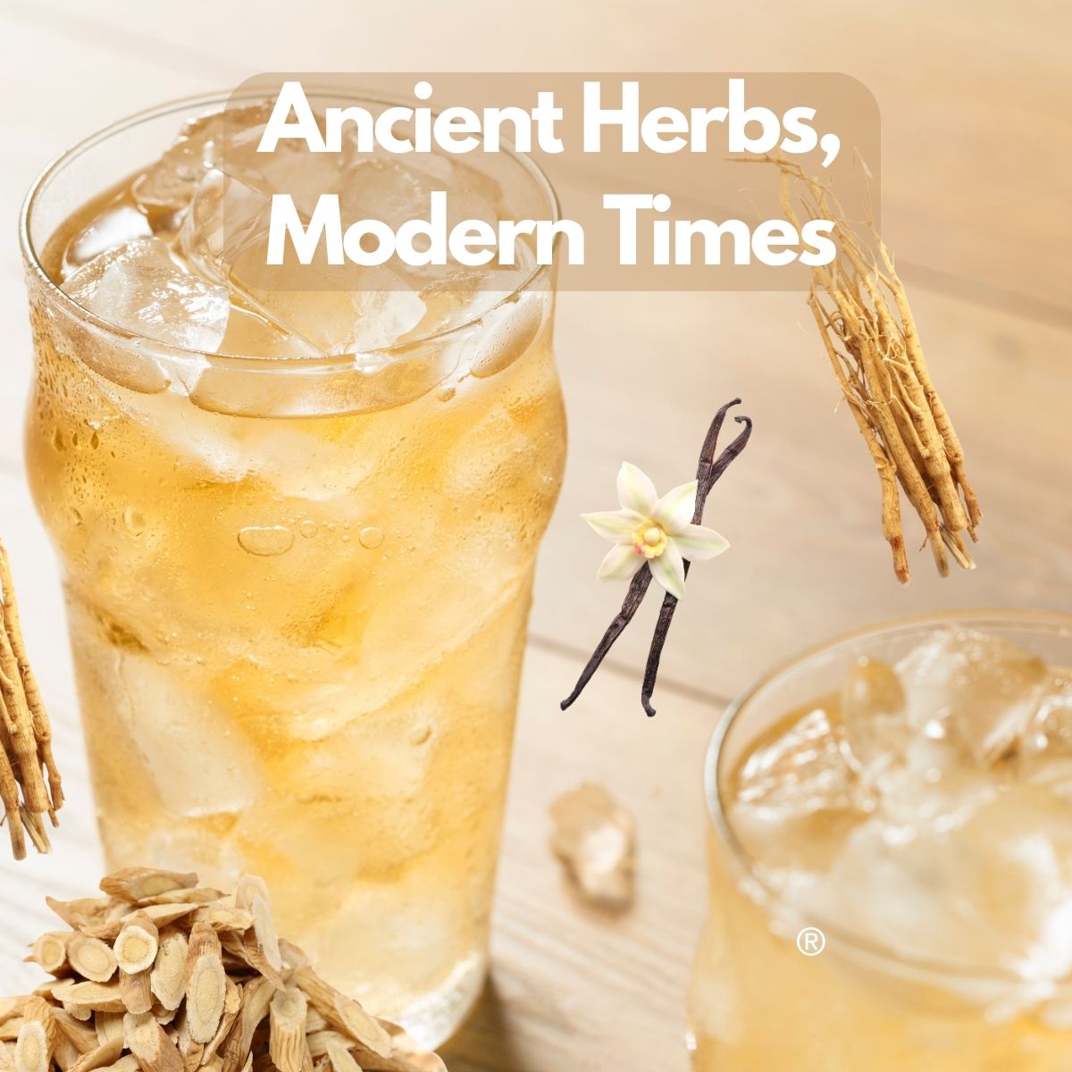 rootbeer-ingredients_11